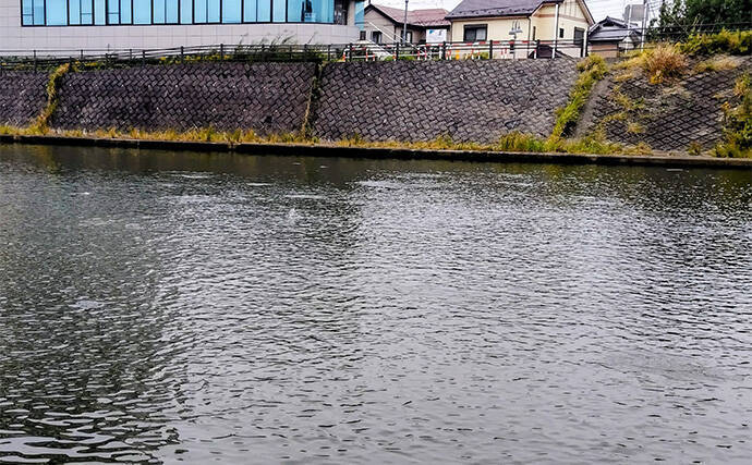 大手釣具屋店員200人に聞いた【守ってほしい釣り場マナー】ランキング　1位は断トツの結果に