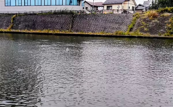 「大手釣具屋店員200人に聞いた【守ってほしい釣り場マナー】ランキング　1位は断トツの結果に」の画像