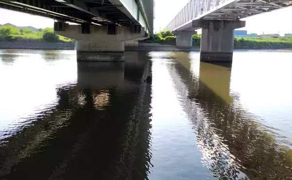 「リバーシーバスは「流れ」がキモ！ 表層でもボトムでもシーバスを連続キャッチ【養老川】」の画像