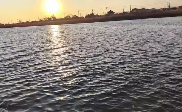 「リバーシーバスは「流れ」がキモ！ 表層でもボトムでもシーバスを連続キャッチ【養老川】」の画像