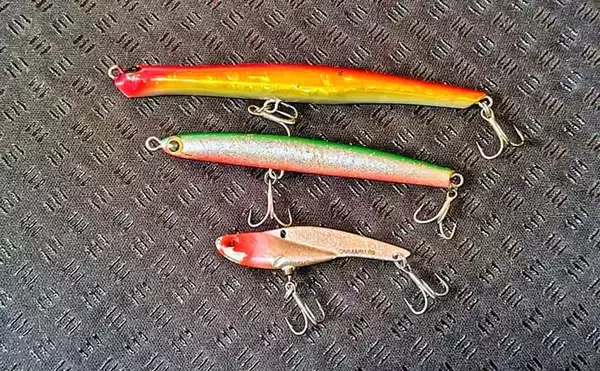 「リバーシーバスは「流れ」がキモ！ 表層でもボトムでもシーバスを連続キャッチ【養老川】」の画像