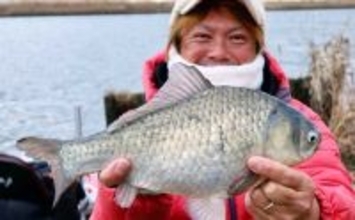 吉田康雄のザ・チャレンジへらぶな【流れ川で美ベラ狙い#2】