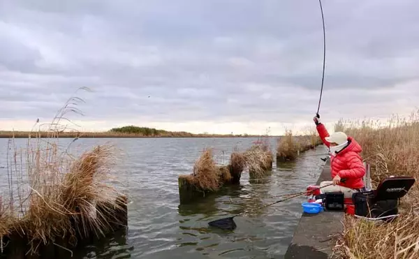 「吉田康雄のザ・チャレンジへらぶな【流れ川で美ベラ狙い#2】」の画像
