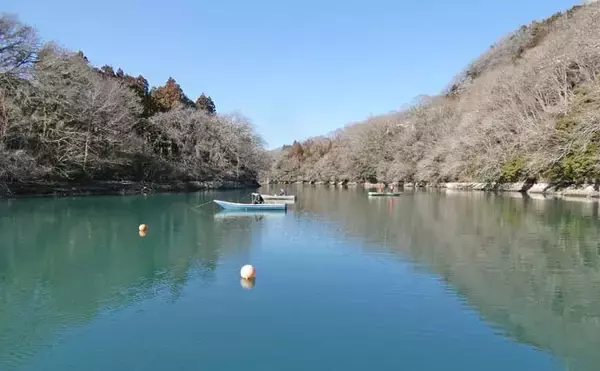 「「寒風知らずの快適空間」ドーム船で12年ぶりのワカサギ釣り満喫【神奈川・相模湖】」の画像