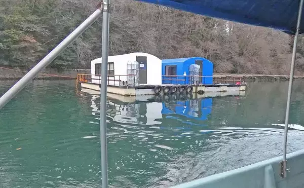 「「寒風知らずの快適空間」ドーム船で12年ぶりのワカサギ釣り満喫【神奈川・相模湖】」の画像