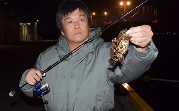 「キャスト不要の壁際攻略術！」冬でも楽しめるカサゴのライトソルトゲーム解説【三重】