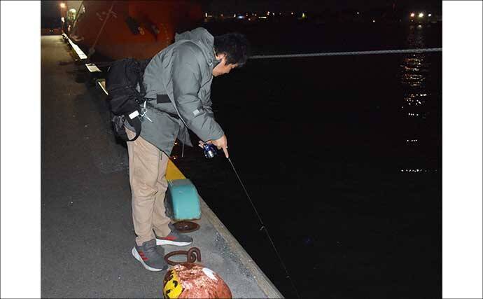 「キャスト不要の壁際攻略術！」冬でも楽しめるカサゴのライトソルトゲーム解説【三重】