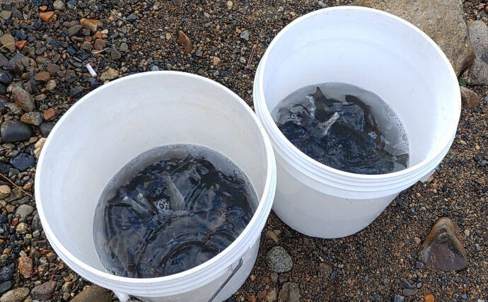 「待ちに待った渓流釣りが解禁！」 解禁直後の魚の動き方と攻略法を解説