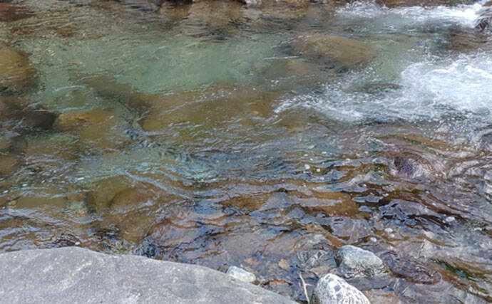 「待ちに待った渓流釣りが解禁！」 解禁直後の魚の動き方と攻略法を解説