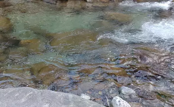 「「待ちに待った渓流釣りが解禁！」 解禁直後の魚の動き方と攻略法を解説」の画像