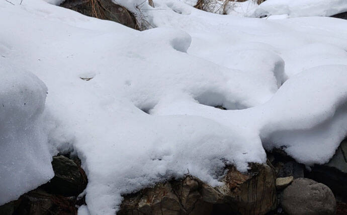 「待ちに待った渓流釣りが解禁！」 解禁直後の魚の動き方と攻略法を解説