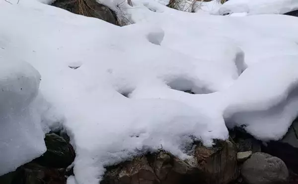 「「待ちに待った渓流釣りが解禁！」 解禁直後の魚の動き方と攻略法を解説」の画像