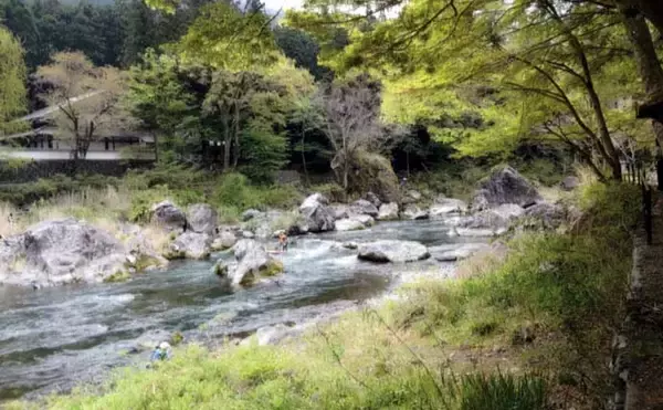 「奥多摩川アユ釣り解禁情報2026 【東京】　流心狙いはラフティングに要注意」の画像