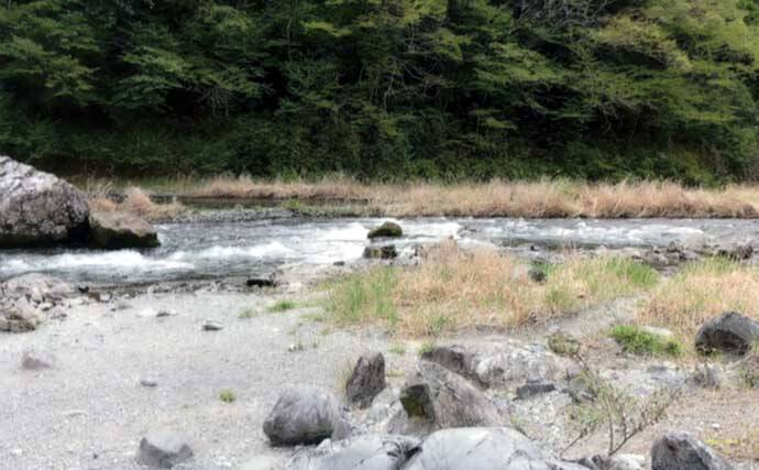 奥多摩川アユ釣り解禁情報2026 【東京】　流心狙いはラフティングに要注意