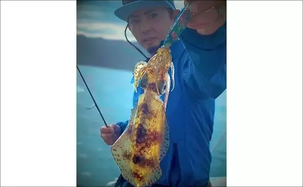 「ティップランエギングでアオリイカ20杯と爆釣【新潟・琉神丸】ロングステイが決め手」の画像
