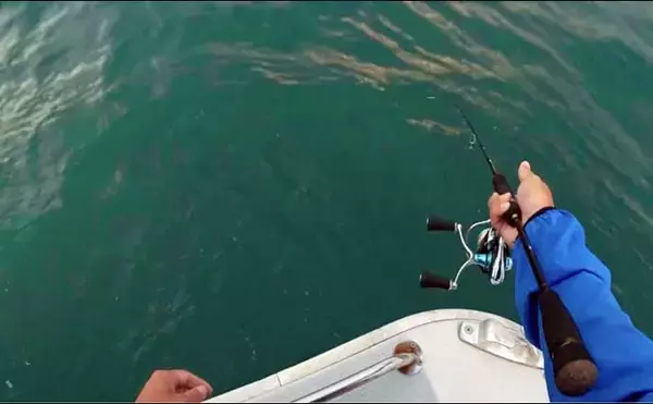 「ティップランエギングでアオリイカ20杯と爆釣【新潟・琉神丸】ロングステイが決め手」の画像