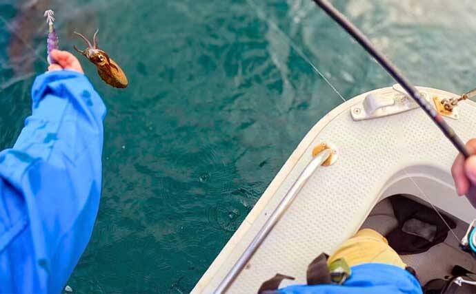 ティップランエギングでアオリイカ20杯と爆釣【新潟・琉神丸】ロングステイが決め手