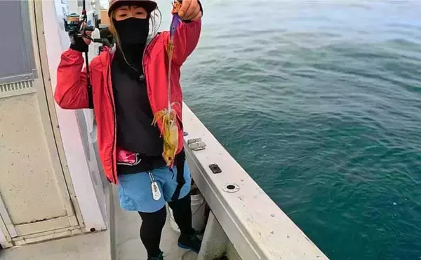 「ティップランエギングでアオリイカ20杯と爆釣【新潟・琉神丸】ロングステイが決め手」の画像