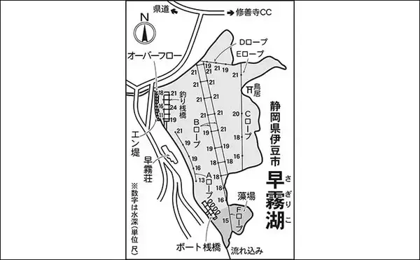 「今週のヘラブナ推薦釣り場2025【静岡・早霧湖】」の画像