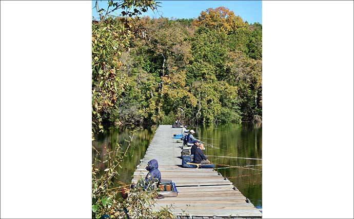 今週のヘラブナ推薦釣り場2025【静岡・早霧湖】