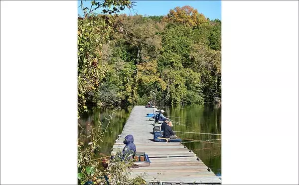 「今週のヘラブナ推薦釣り場2025【静岡・早霧湖】」の画像