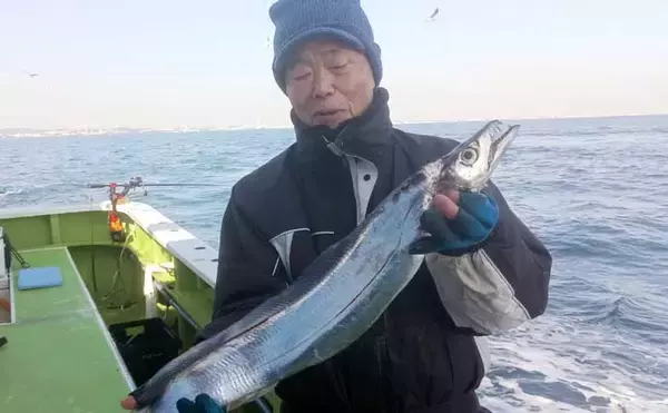 「タコベイトを用いたテンビンタチウオ釣りで105cmドラゴン登場！【神奈川】船中トップ27尾の好釣果」の画像