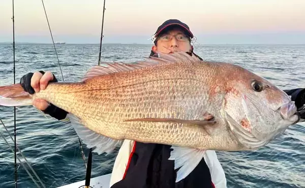 「注目のチヌジギ＆チヌキャスでクロダイが好調！【沖のルアー釣果速報・愛知】」の画像