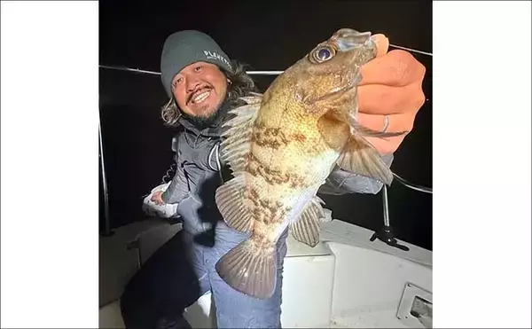 「注目のチヌジギ＆チヌキャスでクロダイが好調！【沖のルアー釣果速報・愛知】」の画像