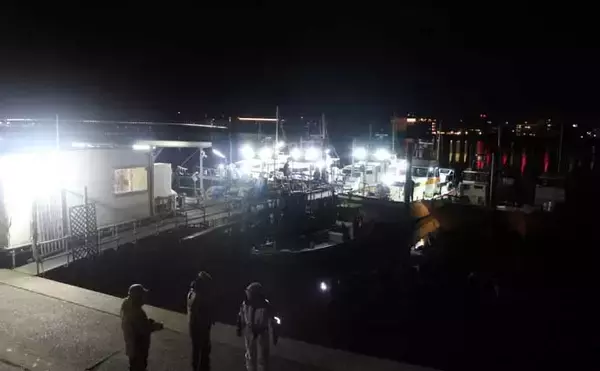 「ヒガンフグ釣りの魅力を徹底解説 【タックル・仕掛け・釣り方・美味しい食べ方】」の画像