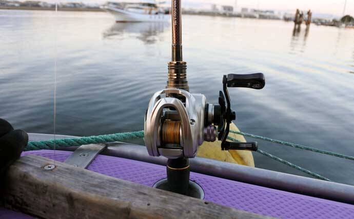 ヒガンフグ釣りの魅力を徹底解説 【タックル・仕掛け・釣り方・美味しい食べ方】