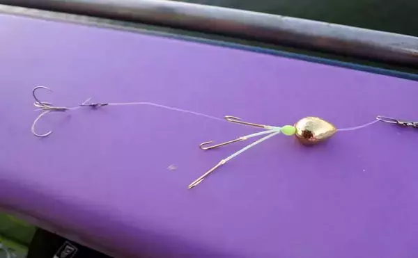 「ヒガンフグ釣りの魅力を徹底解説 【タックル・仕掛け・釣り方・美味しい食べ方】」の画像