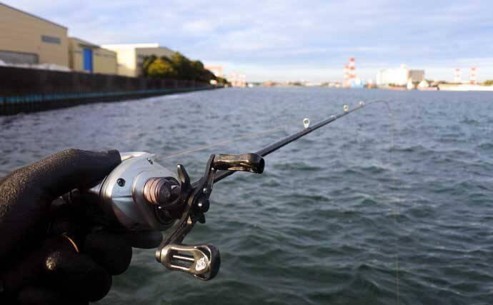 ヒガンフグ釣りの魅力を徹底解説 【タックル・仕掛け・釣り方・美味しい食べ方】