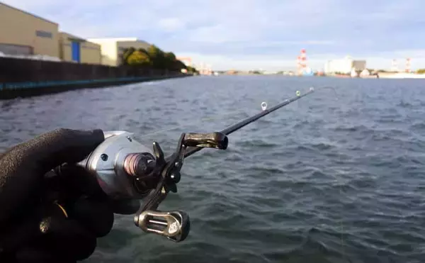 「ヒガンフグ釣りの魅力を徹底解説 【タックル・仕掛け・釣り方・美味しい食べ方】」の画像