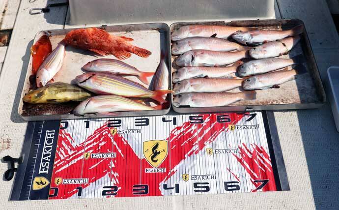 人気急上昇の「シロアマダイ釣り」入門　【タックル・釣り方・仕掛けを解説】