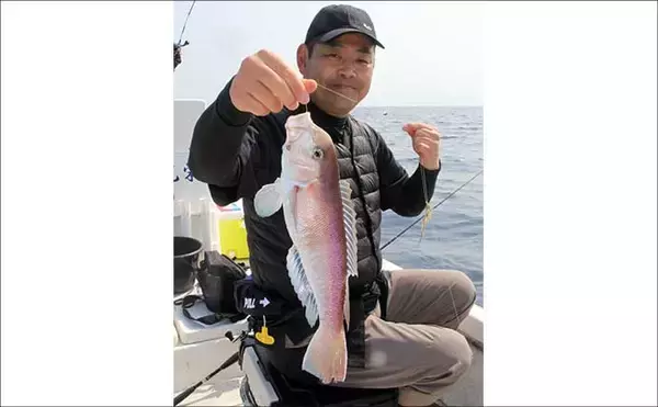 「人気急上昇の「シロアマダイ釣り」入門　【タックル・釣り方・仕掛けを解説】」の画像