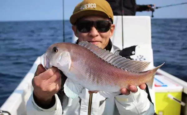 「人気急上昇の「シロアマダイ釣り」入門　【タックル・釣り方・仕掛けを解説】」の画像