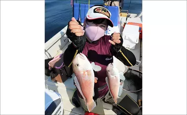 「人気急上昇の「シロアマダイ釣り」入門　【タックル・釣り方・仕掛けを解説】」の画像