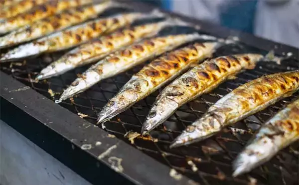 「知ってそうで意外に知らないサンマの生態　昔は上流階級は食べなかった？」の画像