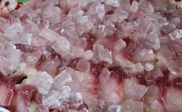 「刺身を水で洗う調理法「あらい」が水っぽくならないワケ　噛み応えはむしろアップ」の画像