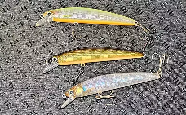 「夜のリバーシーバス釣行でフィーバー！【千葉・村田川】フローティングミノーに連発」の画像