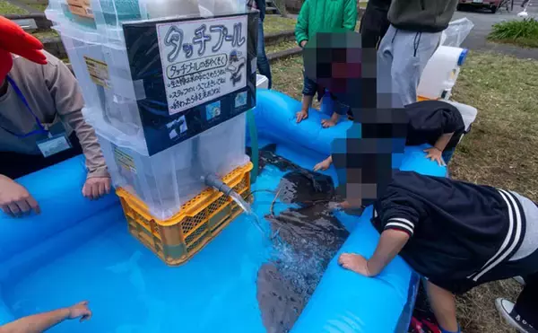 「人はなぜ本物の自然や生きものに惹かれるのか　実は私たちの脳が求めている？」の画像