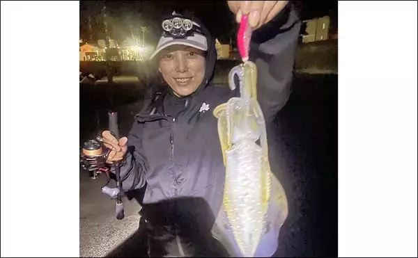 「越前海岸の陸っぱりエギングで良型アオリイカ連発！【福井】胴長20cm超え含む2人で8匹の好釣果」の画像