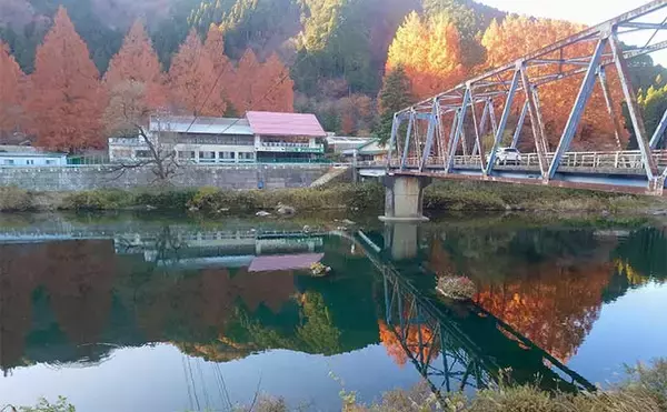 「「上流へ走る巨体に耐え切った」ノベザオで85cm超え寒ゴイを手中【岐阜・郡上八幡】」の画像