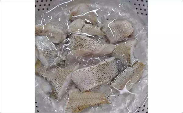 「釣魚・外道のグルメ『ブルーギルのギルこく』　ワカサギ釣り外道を絶品料理に昇華」の画像