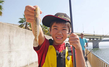 堤防のちょい投げ釣りを始めよう！ 【初心者向け道具・仕掛け・釣果アップのコツを解説】