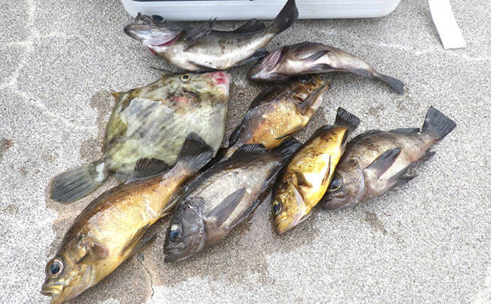 堤防のちょい投げ釣りを始めよう！ 【初心者向け道具・仕掛け・釣果アップのコツを解説】