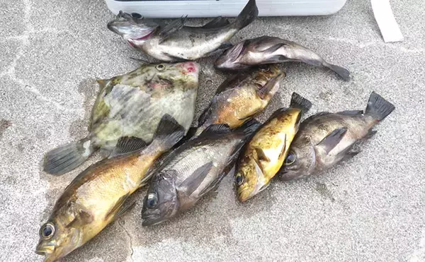 「堤防のちょい投げ釣りを始めよう！ 【初心者向け道具・仕掛け・釣果アップのコツを解説】」の画像