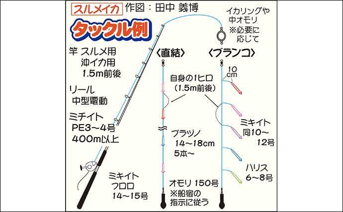 22関東 冬の良型スルメ釣り入門解説 タックル 釣り方 食味 22年2月8日 エキサイトニュース