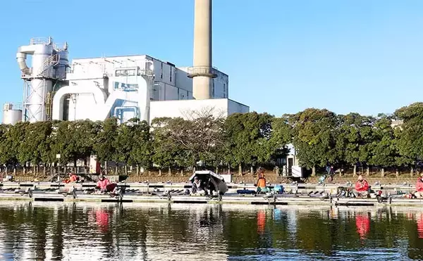 吉田康雄のザ・チャレンジへらぶな　【ヤグラ＋1品目縛り#2】