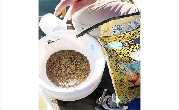 「吉田康雄のザ・チャレンジへらぶな　【ヤグラ＋1品目縛り#2】」の画像